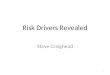 Risk Drivers Revealed Steve Craighead 1. Introduction Regression VaR Conditional VaR Example Dashboards 2