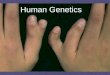 Human Genetics. I. Mutations = changes in DNA A. Mutations increase the amount of variation among offspring. A.Deletion: removal of a chromosomal segment