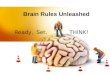 Brain Rules Unleashed Ready, Set, THINK!. Things we will address: Nutrition Sleep Vision Stress Exercise
