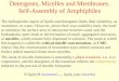 Detergents, Micelles and Membranes. Self-Assembly of Amphiphiles The hydrophobic aspect of lipids and detergents limits their solubility, as monomers,