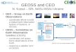 GEOSS and CEO N. Kussul – SRI- NASU-NSAU Ukraine GEO – Group on Earth Observations –coordinates efforts to build a Global Earth Observation System of Systems,