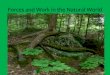 Forces and Work in the Natural World. WORK Is force over a distance If force is applied to an object, and the object moves work has been done Plants can