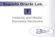 Instance and Media Recovery Structures Supinfo Oracle Lab. 7
