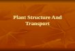 Plant Structure And Transport. Chapter 13: Plant Structure And Transport Main Parts Of Plant: Main Parts Of Plant: 1.Roots 1.Roots 2.Stem 2.Stem 3.Leaves