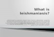 Leishmaniasis is a parasitic disease that is found in Afghanistan, caused by infection with Leishmania parasites, which are spread by the bite of infected