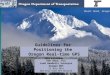 Guidelines for Positioning the Oregon Real-time GPS Network Ken Bays, PLS Lead Geodetic Surveyor Oregon DOT 31 July 2013 NGS Real-time GPS Network Webinar