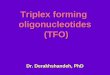 Triplex forming oligonucleotides (TFO) Dr. Derakhshandeh, PhD