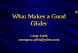 What Makes a Good Glider Louie Turek aerospace_pilot@yahoo.com