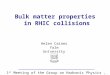 Helen Caines Yale University 1 st Meeting of the Group on Hadronic Physics, Fermi Lab. – Oct. 2004 Bulk matter properties in RHIC collisions