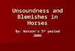 Unsoundness and Blemishes in Horses By: Watson’s 5 th period 2006