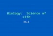 Biology: Science of Life Ch.1. (1-1) Characteristics of Life 1.Organization & Cells 2.Response to Stimuli 3.Homeostasis 4.Metabolism 5.Growth & Development