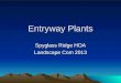 Entryway Plants Spyglass Ridge HOA Landscape Com 2013
