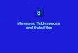 8 Managing Tablespaces and Data Files. 8-2 Objectives Describing the logical structure of the database Creating tablespaces Changing the size of tablespaces