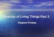 Diversity of Living Things Part 3 Kingdom Protista