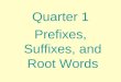 Quarter 1 Prefixes, Suffixes, and Root Words. hydro