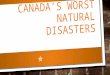 CANADA’S WORST NATURAL DISASTERS. LIVES LOST DEATH TOLL 4000 OTHER LOSSES FISHING BOATS-200+ 1. NEWFOUNDLAND HURRICANE OF 1775 ALSO KNOWN AS THE INDEPENDENCE
