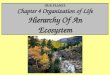OUR PLANET Chapter 4 Organization of Life Hierarchy Of An Ecosystem