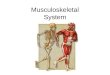 Musculoskeletal System. Why is locomotion essential to most organisms? Motile vs. Sessile –Get food –Move away from harmful things and predators –Seek