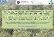 Bridging modeled and measured data to evaluate forest health and vitality Alessandra De Marco 1, Chiara Proietti 2, Irene Cionni 1, Tamara Jakovljevic