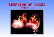 1 BEHAVIOR OF GASES Chapter 12 2 Importance of Gases Airbags fill with N 2 gas in an accident.Airbags fill with N 2 gas in an accident. Gas is generated