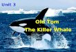 Unit 3 Old Tom The Killer Whale. 1. The first story is mainly about ____. A. a hunting experience of Old Tom B. how Old Tom helped with whale hunting