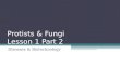 Protists & Fungi Lesson 1 Part 2 Diseases & Biotechnology
