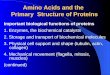 Amino Acids and the Primary Structure of Proteins Important biological functions of proteins 1. Enzymes, the biochemical catalysts 2. Storage and transport