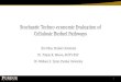 Stochastic Techno-economic Evaluation of Cellulosic Biofuel Pathways Xin Zhao, Purdue University Dr. Tristan R. Brown, SUNY-ESF Dr. Wallace E. Tyner, Purdue