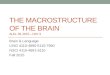 THE MACROSTRUCTURE OF THE BRAIN AUG. 28, 2015 – DAY 3 Brain & Language LING 4110-4890-5110-7960 NSCI 4110-4891-6110 Fall 2015