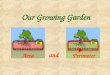 Our Growing Garden and Area Perimeter. We can plant a garden