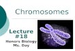 Chromosomes Lecture #18 Honors Biology Ms. Day. Why is Cell Division Important? ï‚ Unicellular organisms Reproduce by cell division ïƒ  increasing the population