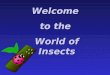 Welcome to the World of Insects. Importance of Insects to Agriculture - spread plant, human, and animal diseases PESTS – eat our foods - damage our crops