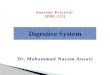 Dr. Mohammad Nazam Ansari Digestive System Anatomy Practical [PHL 212]