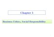 Business Ethics, Social Responsibility Chapter 3 0