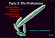 Topic 3. The Prokaryotes Introduction, Structure & Function, Classification, Examples September 21, 2005 Biology 1001