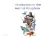 Introduction to the Animal Kingdom source. Which of these is an “animal”?