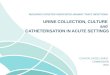 REDUCING CATHETER ASSOCIATED URINARY TRACT INFECTIONS CLINICAL EXCELLENCE COMMISSION 2015 URINE COLLECTION, CULTURE and CATHETERISATION IN ACUTE SETTINGS