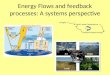 Energy Flows and feedback processes: A systems perspective