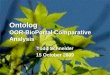 1 Ontolog OOR-BioPortal Comparative Analysis Todd Schneider 15 October 2009