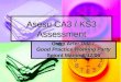Asesu CA3 / KS3 Assessment Grŵp Arfer Dda / Good Practice Working Party Seiont Manor 8/12/06