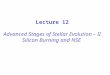 Lecture 12 Advanced Stages of Stellar Evolution – II Silicon Burning and NSE