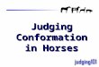Judging Conformation in Horses 01. 02 Outline 1. Balance 2. Quality 3. Muscling 4. Structure