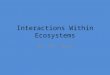Interactions Within Ecosystems By: Ms. Moya. What is Competition? An ecosystem depends on a balance, sometimes called the balance of nature, which only