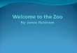 Creating a zoo animal Objectives: Students will be able to: create a zoo animal using information from the story At the Zoo and classroom materials