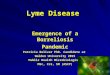 Disease Lyme Disease Emergence of a Borreliosis Pandemic Patricia Bolivar PhD. Candidate at Walden University 2015 Public Health Microbiologist MSc, CLS,