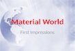 Material World First Impressions. China: The Wu Family