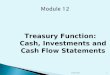 Treasury Function: Cash, Investments and Cash Flow Statements Convery 20131
