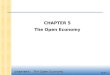 CHAPTER 5 The Open Economy slide 0 CHAPTER 5 The Open Economy