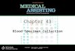 Copyright ©2012 Delmar, Cengage Learning. All rights reserved. Chapter 43 Blood Specimen Collection