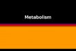 Metabolism. Chapter 5 Metabolism Metabolism = Anabolism + Catabolism Photosynthesis requires Respiration Respiration requires Photosynthesis Energy Production
